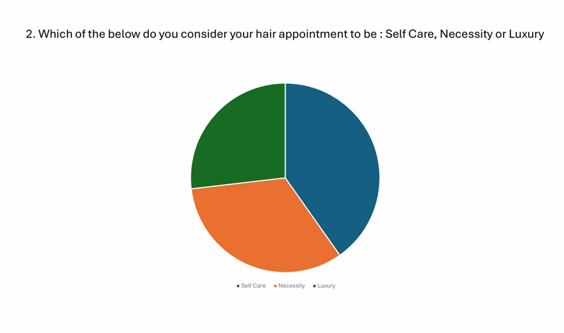 Dot Hair client survey results 2