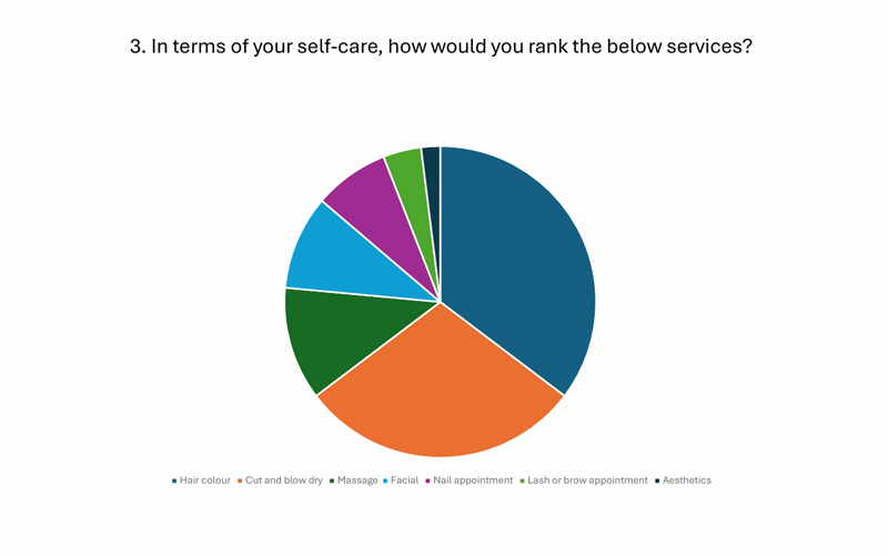 Dot Hair client survey insights 3