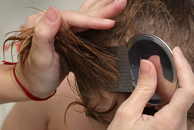 Close up image of hair being combed for head lice