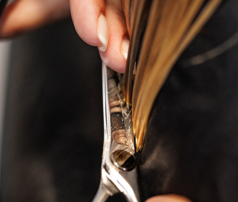 up close image of a haircut