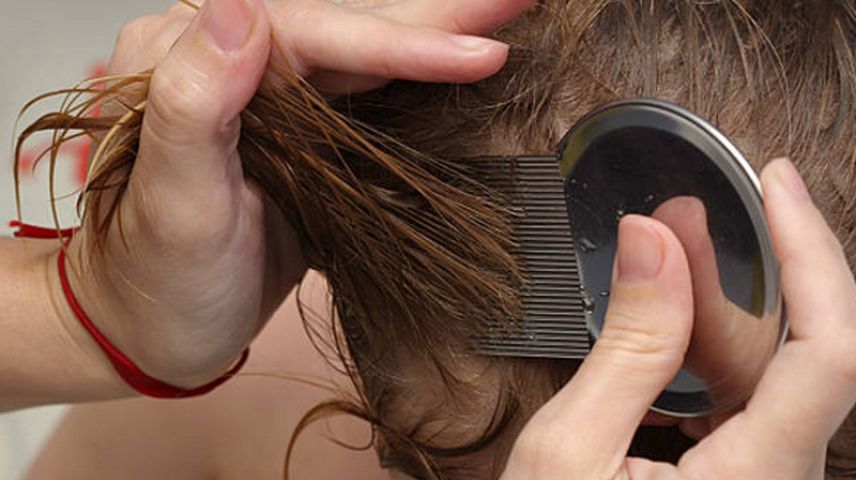 Close up image of hair being combed for head lice